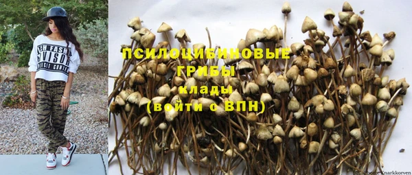 мет Кодинск