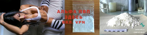 ПСИЛОЦИБИНОВЫЕ ГРИБЫ Козельск