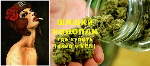 ПСИЛОЦИБИНОВЫЕ ГРИБЫ Козельск