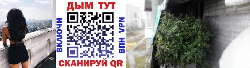 блэк спрут tor  продажа наркотиков  Любим  Бошки Шишки SATIVA & INDICA 